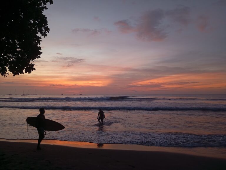 the sandbar surf school 3 1 768x578