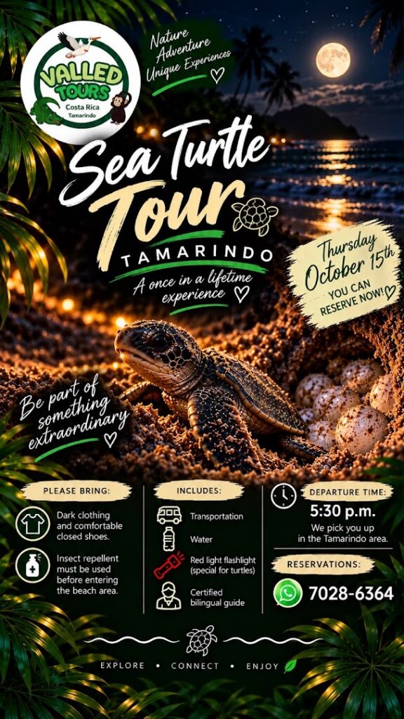 valled tours tamarindo 2 1 576x1024