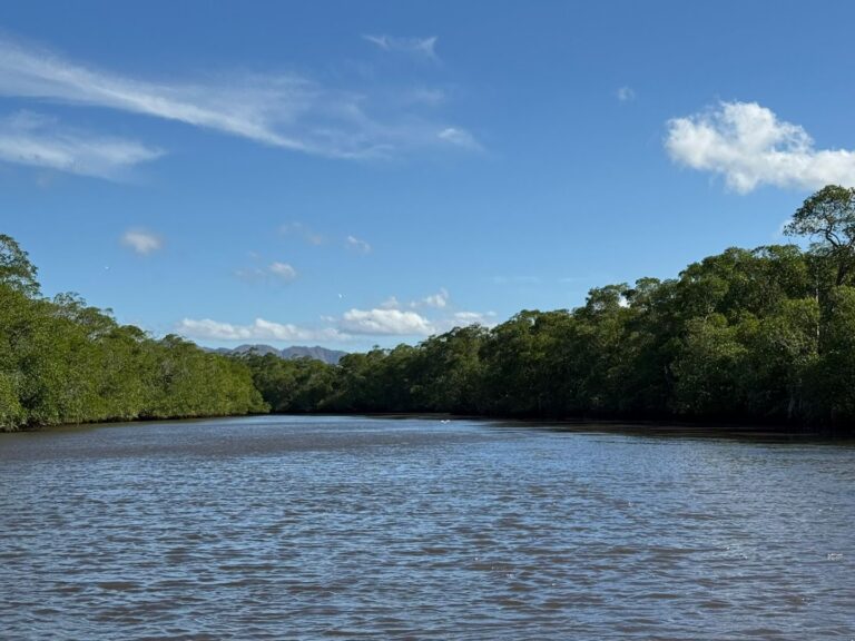 valled tours tamarindo 4 1 768x576