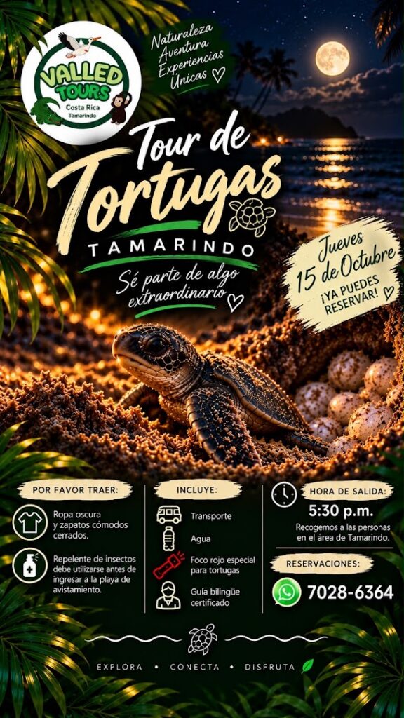 valled tours tamarindo 5 1 576x1024