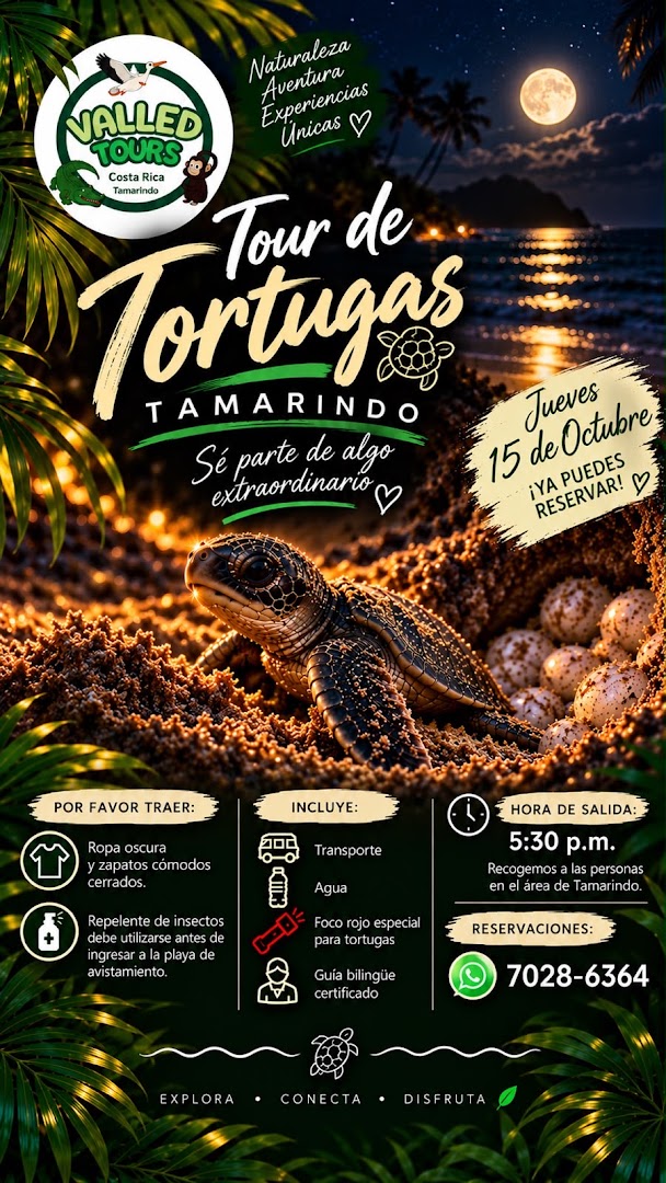 valled tours tamarindo 5 1