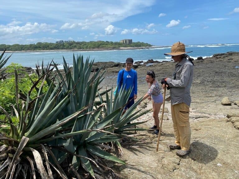 wildlife tour Tamarindo IMG 0227 1 768x576