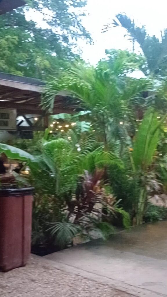 zulu cocina italiana 2 1 576x1024